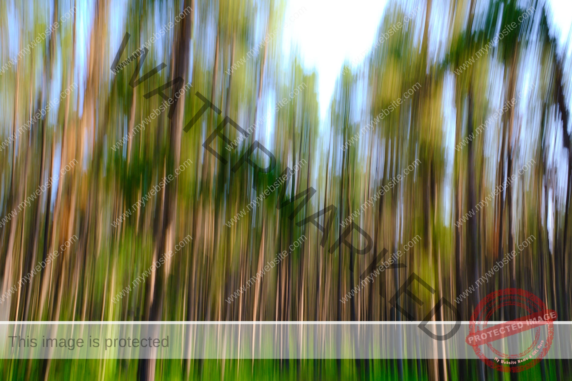 The forest in dynamic motion through ICM.