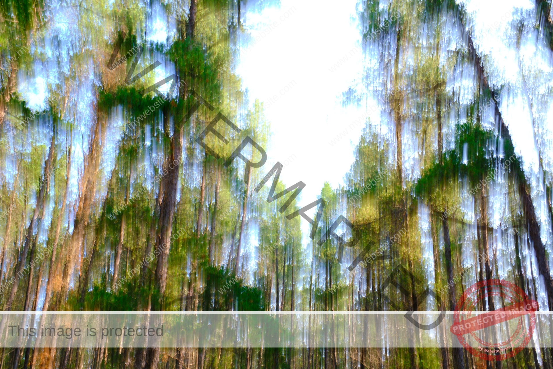 Abstract image of a forest with blurred green foliage and golden sunlight, created through intentional camera movement.