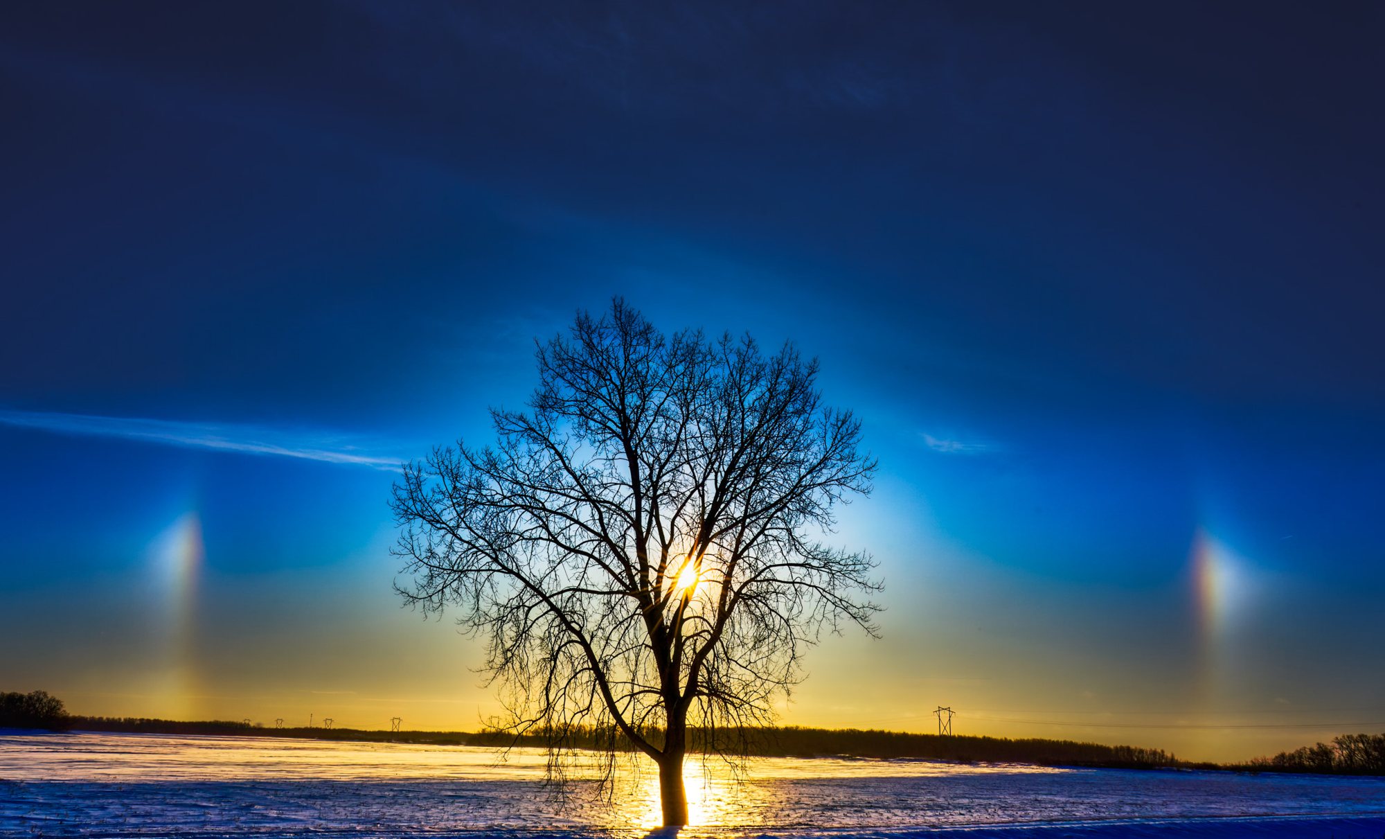 A lone bare tree silhouetted against a glowing sunrise sky with sun dogs on either side, over a snowy Manitoba field