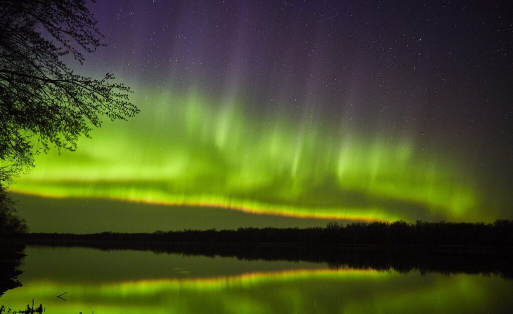 Green aurora curtains reflected in a calm river with a tree silhouetted at left