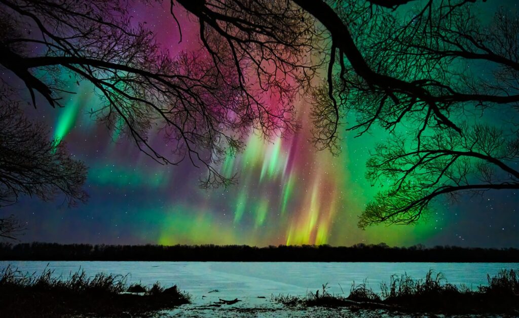 Magenta, green, and teal aurora behind bare branches above open water