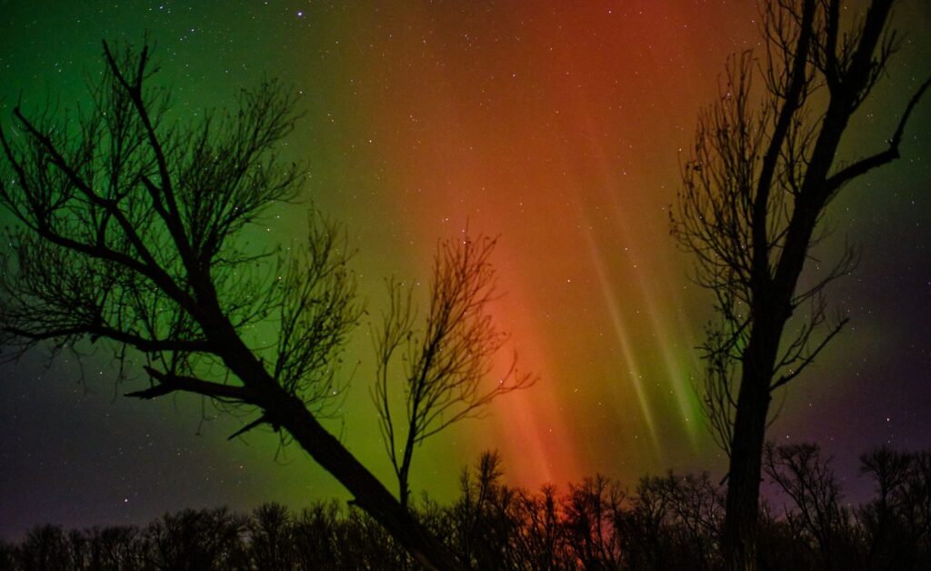 Orange and red aurora pillars rising between two bare trees