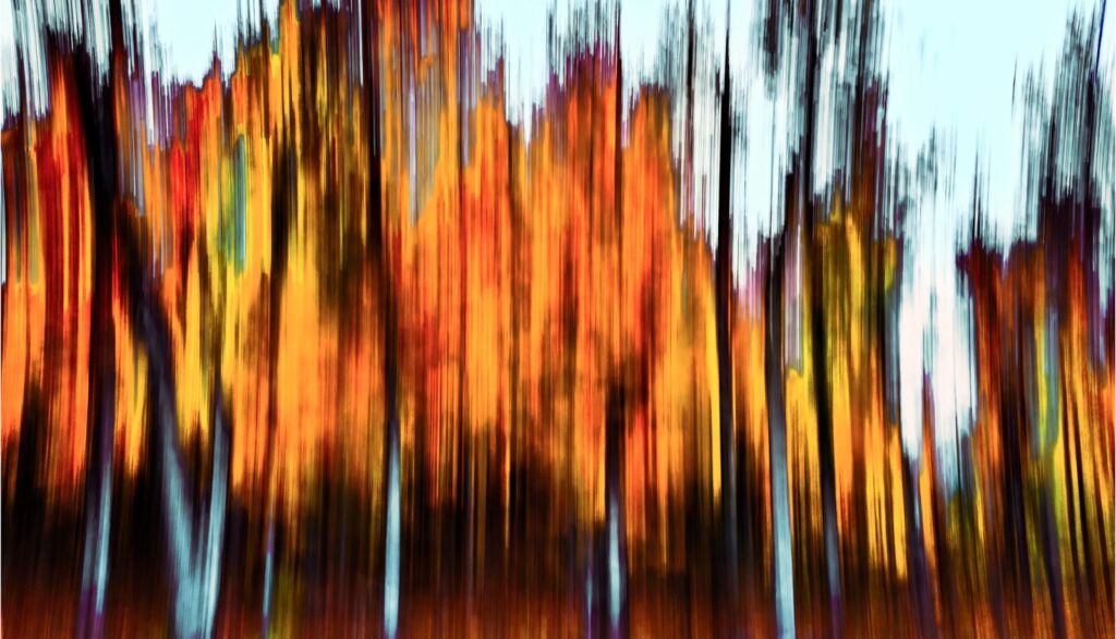 Abstract blur of orange and red autumn trees against the sky