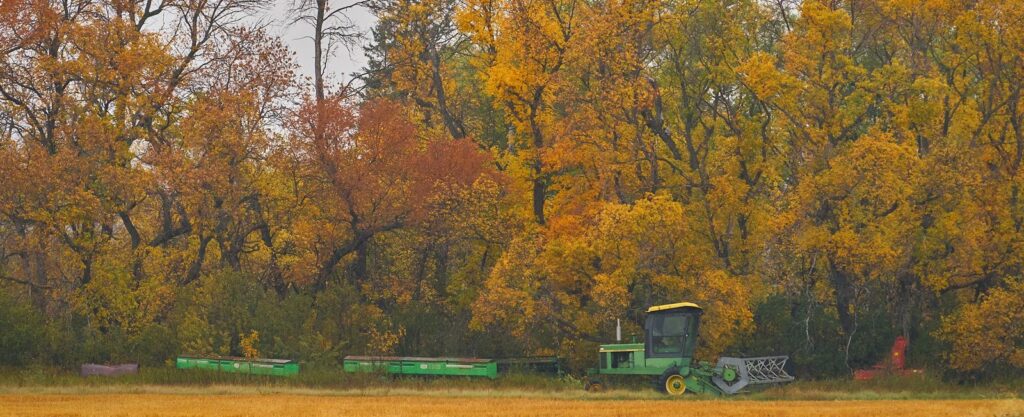Orange autumn trees above a green tractor and farm equipment
