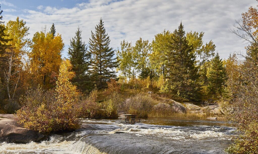 Rapids and boreal trees in fall colour