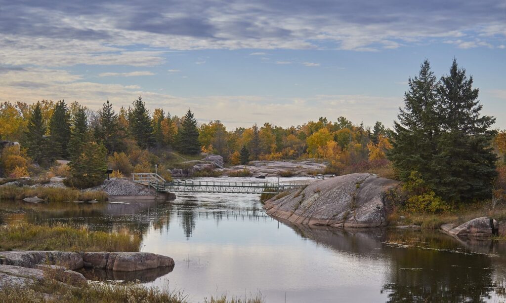 Calm river above a rocky weir framed by spruce and aspen
