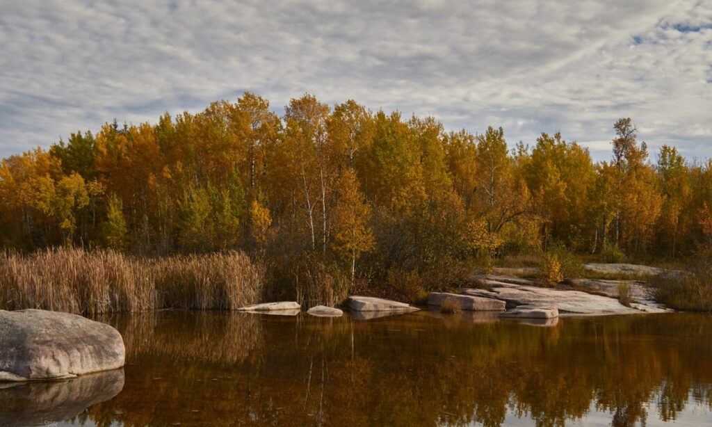 Golden aspens reflected in a still pond beside granite boulders