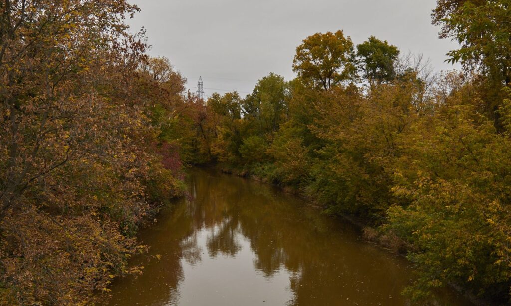 Quiet creek winding between trees in autumn colour