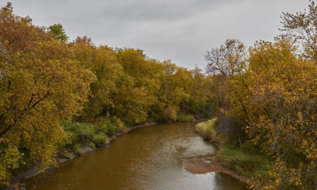 Creek bend with trees in yellow and green
