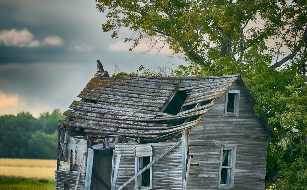 Derelict farmhouse with a broken roof and open windows beside a tree