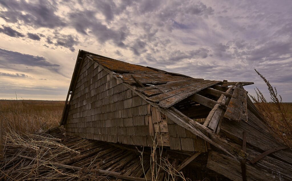 Collapsed shingled barn tilted over in a field of stubble
