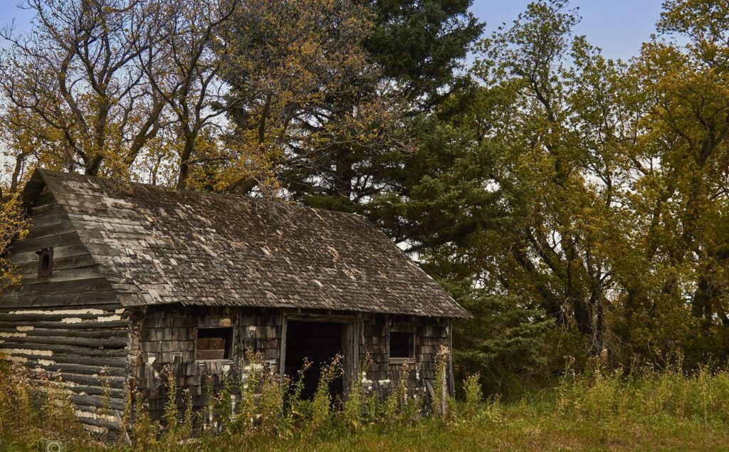 Old log outbuilding among autumn trees