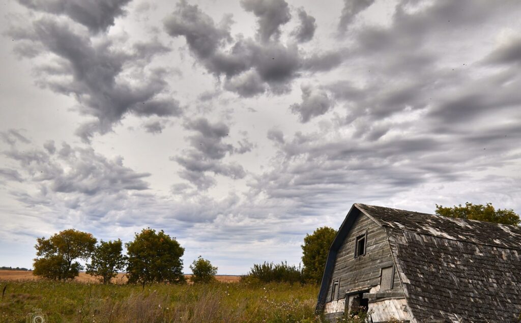 Weathered barn roof at the edge of a field under patterned cloud