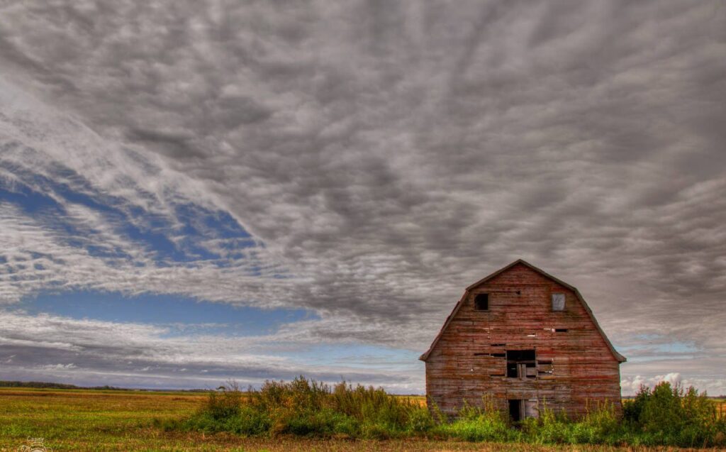Barns and farms