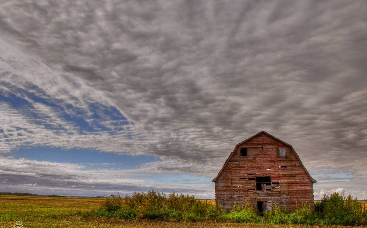 Red barn on the prairie under a wide sky of altocumulus