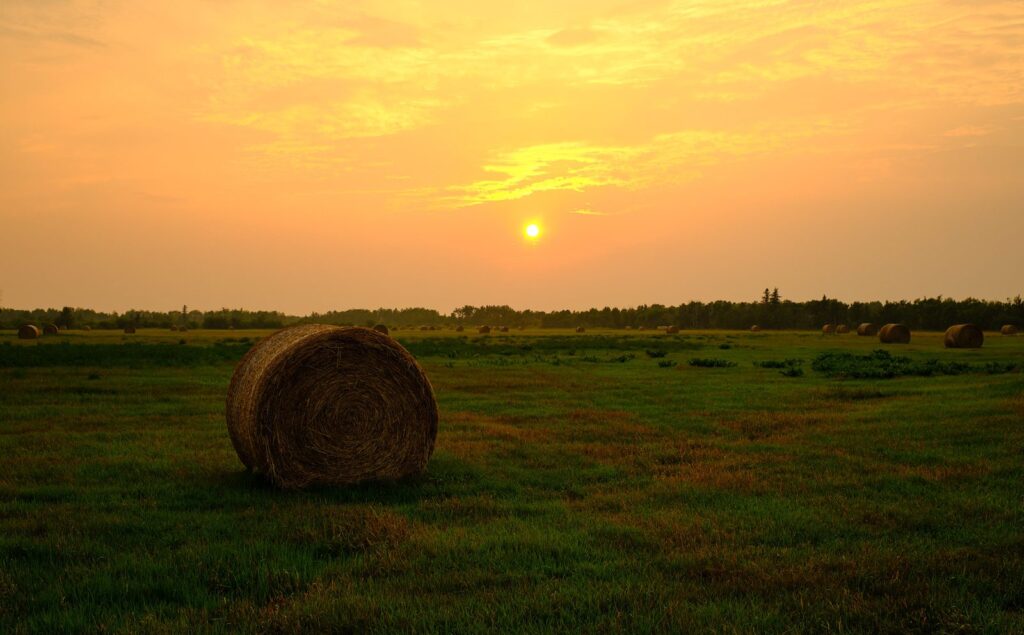 Round bale in a field under an orange sunset sky