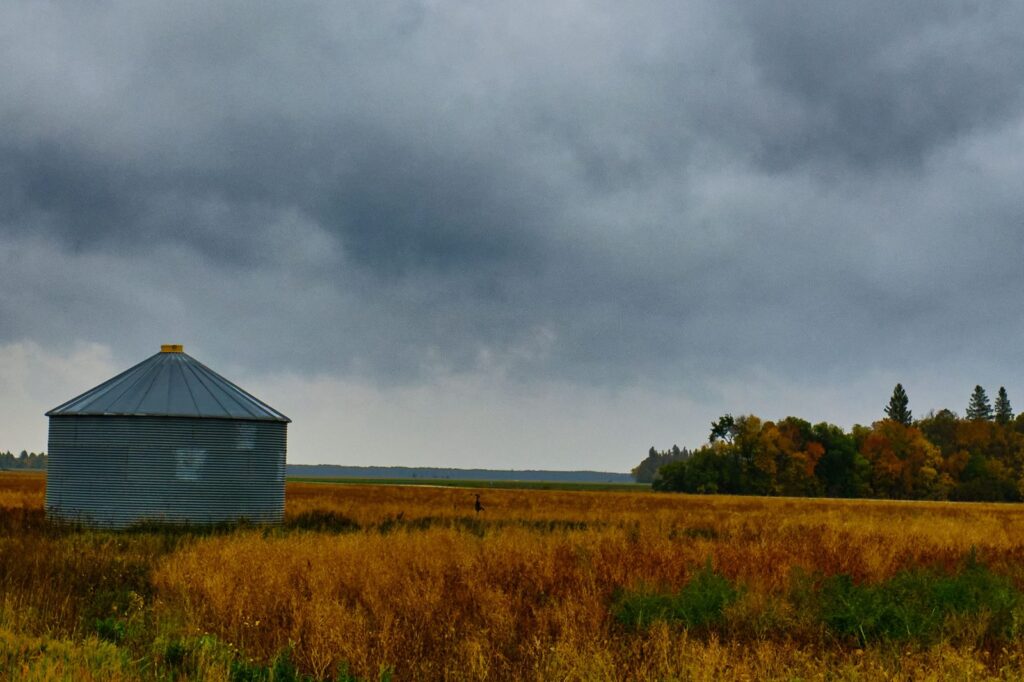 Metal grain bin under a dark stormy sky with autumn colour behind