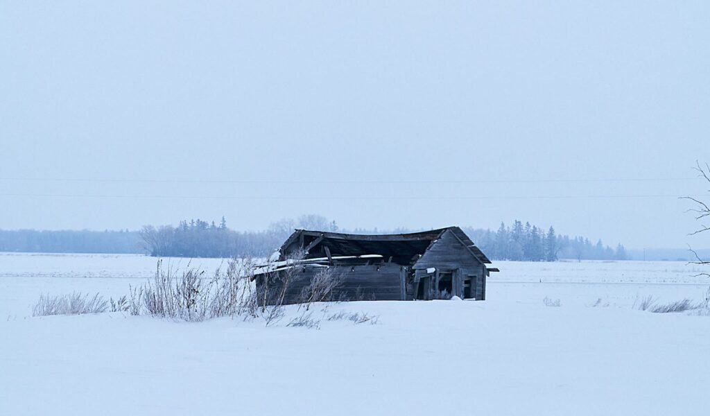 Weathered shed standing alone in a snowy field