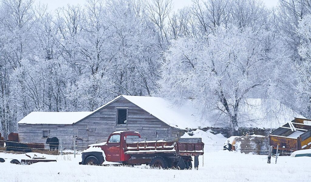 Old farm shed and red truck among hoarfrost-covered trees