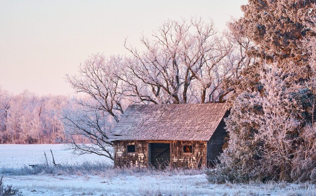 Old log shed among hoarfrost-covered trees at sunrise