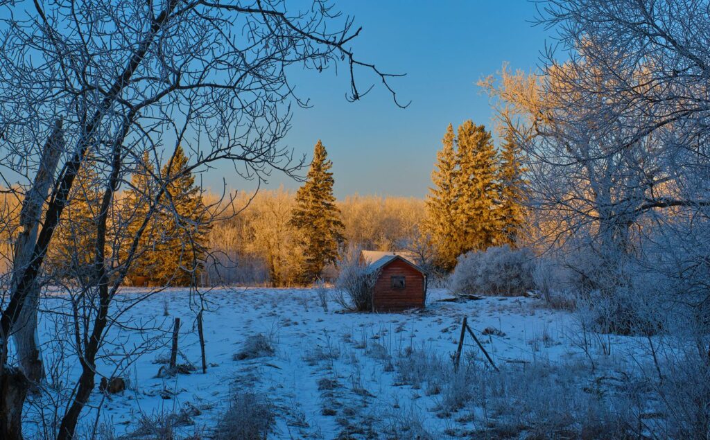 Small red shed in a snowy clearing beside frosted trees