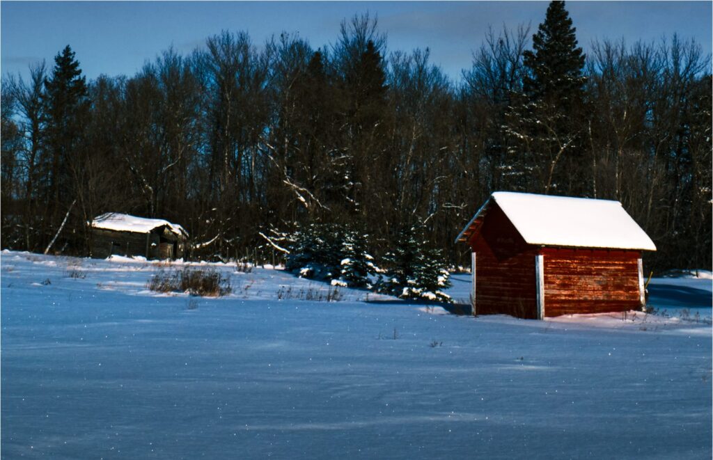 Small red shed in snow with evergreens behind