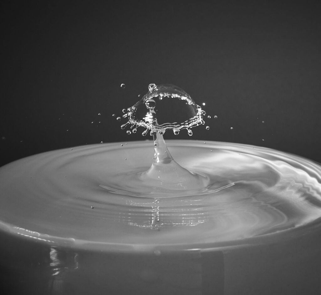A water drop splash forming a crown