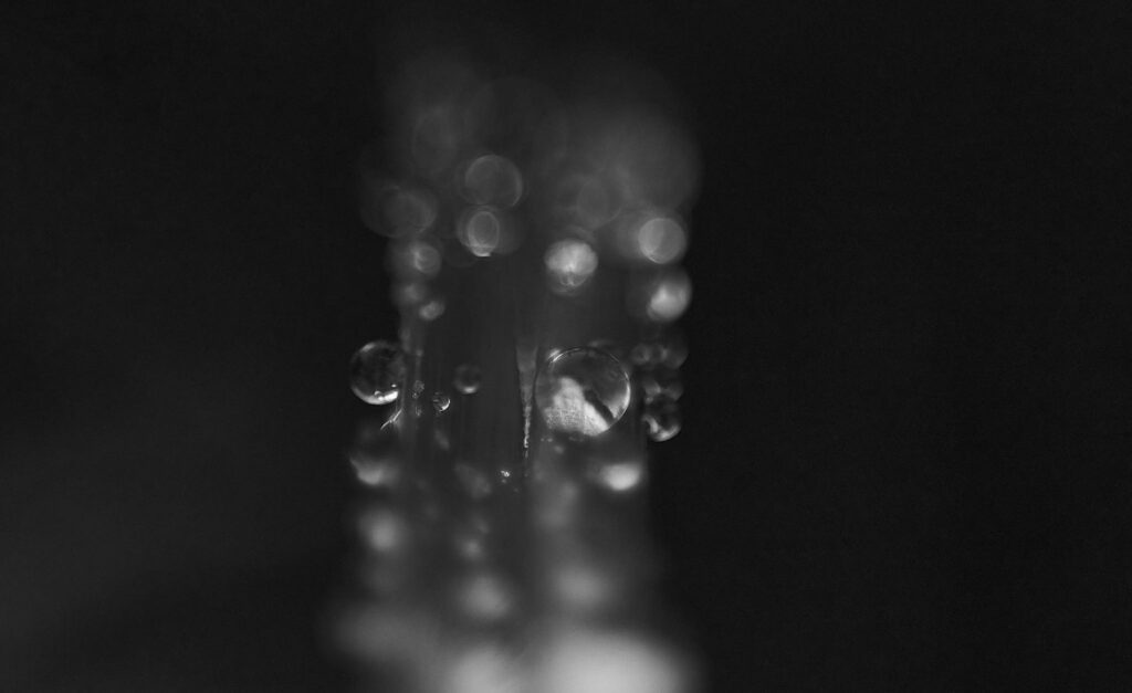 Out-of-focus drops of water in the dark