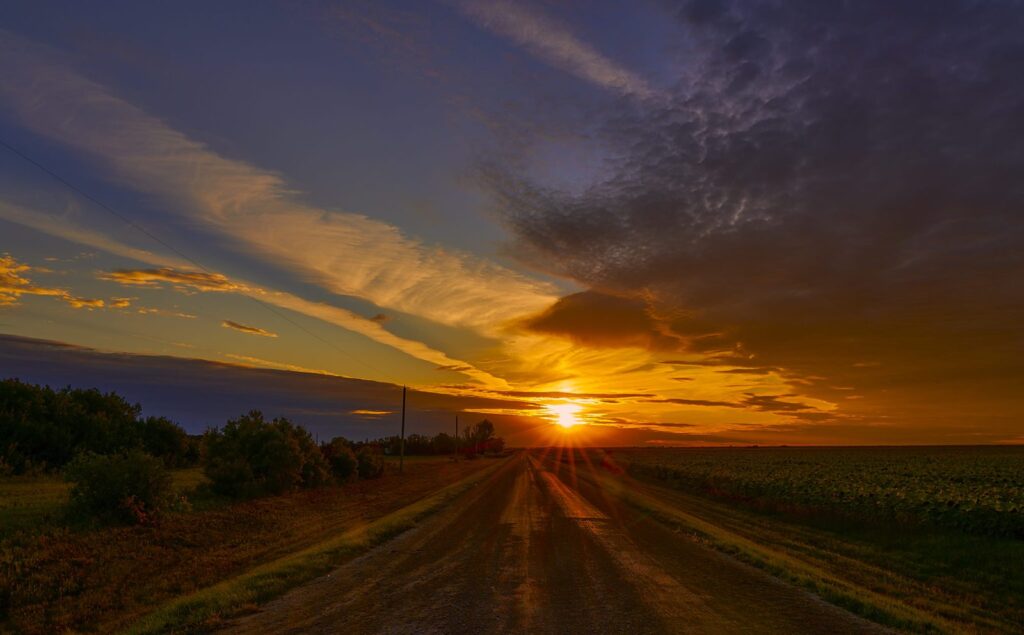 Farm road leading into the setting sun with golden cloud streaks above