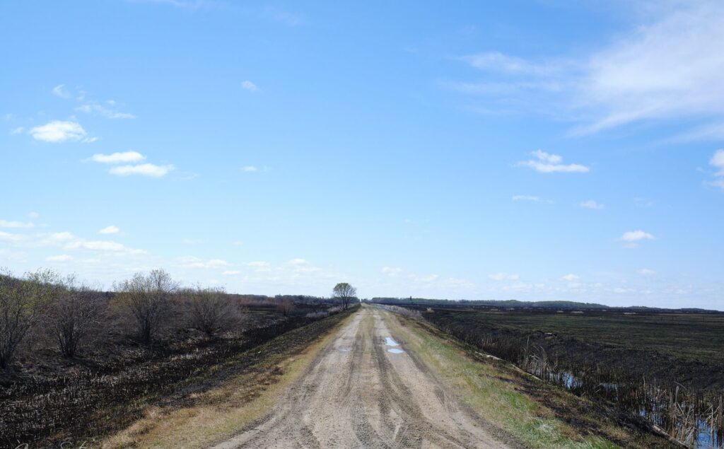 Gravel road running straight to the horizon past dry ditches under a blue sky