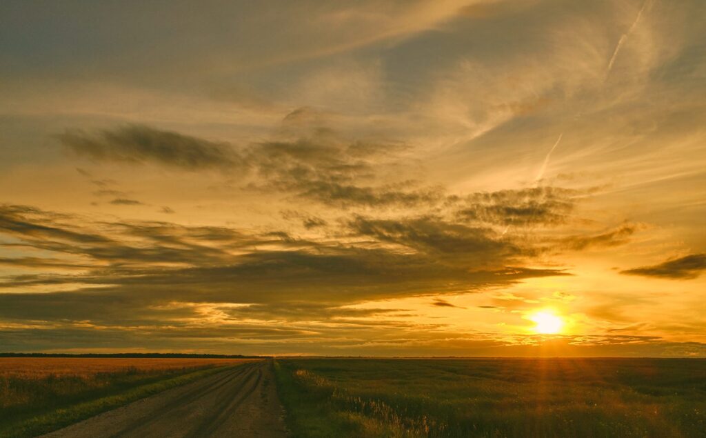 Sun setting over a farm road with golden clouds above