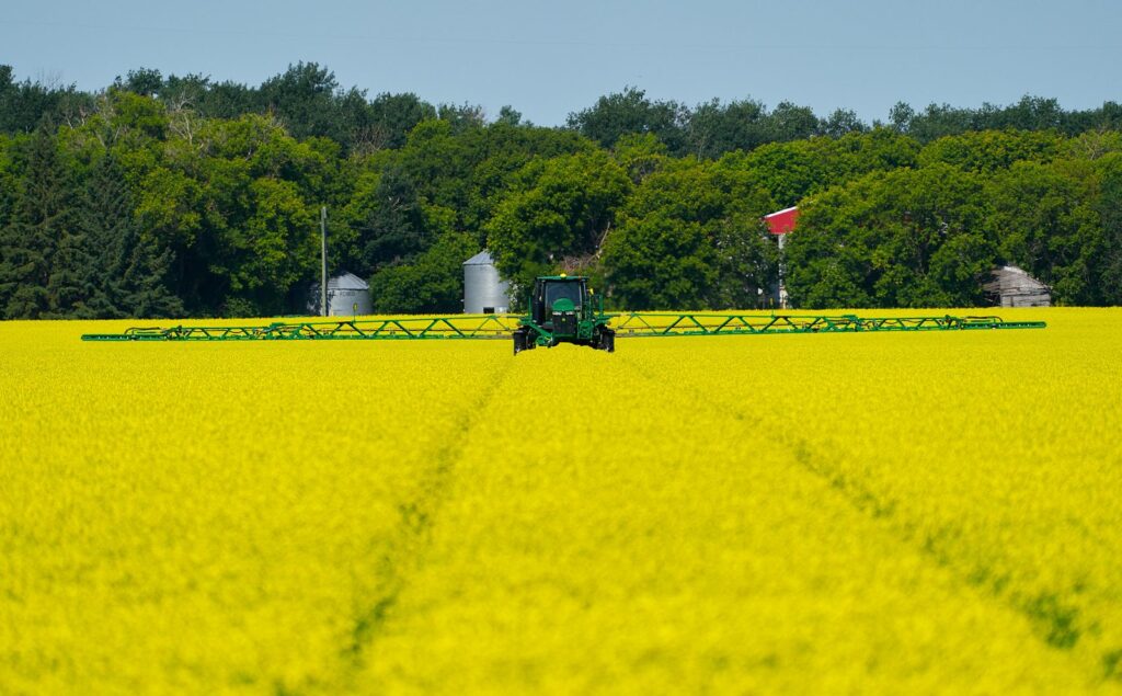 Sprayer working in a canola field with grain bins and trees behind
