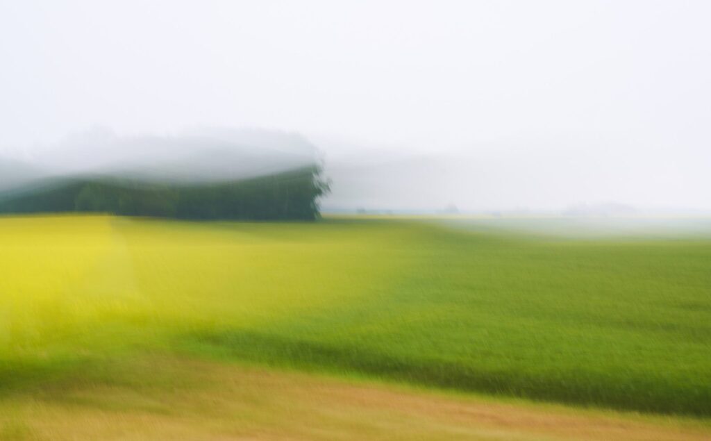 Soft blurred view of a green field and trees in fog