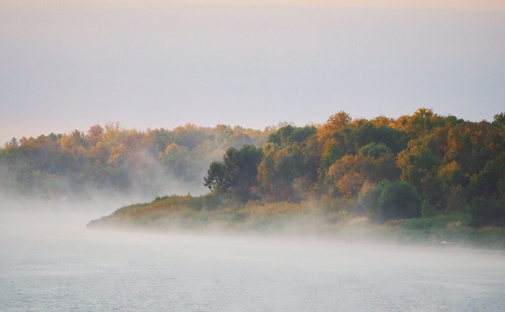 Autumn trees along a misty river at sunrise