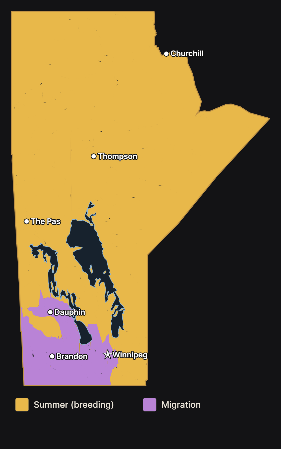 Map of Manitoba showing where the belted kingfisher nests and migrates, with major cities and lakes