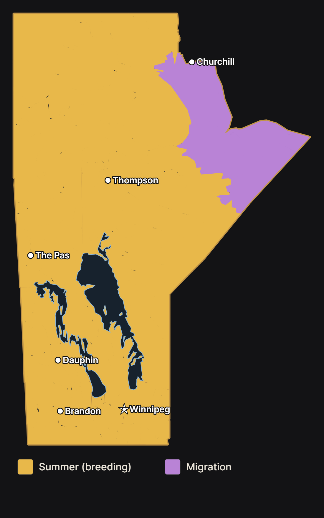 Map of Manitoba showing where the bufflehead nests and migrates, with major cities and lakes