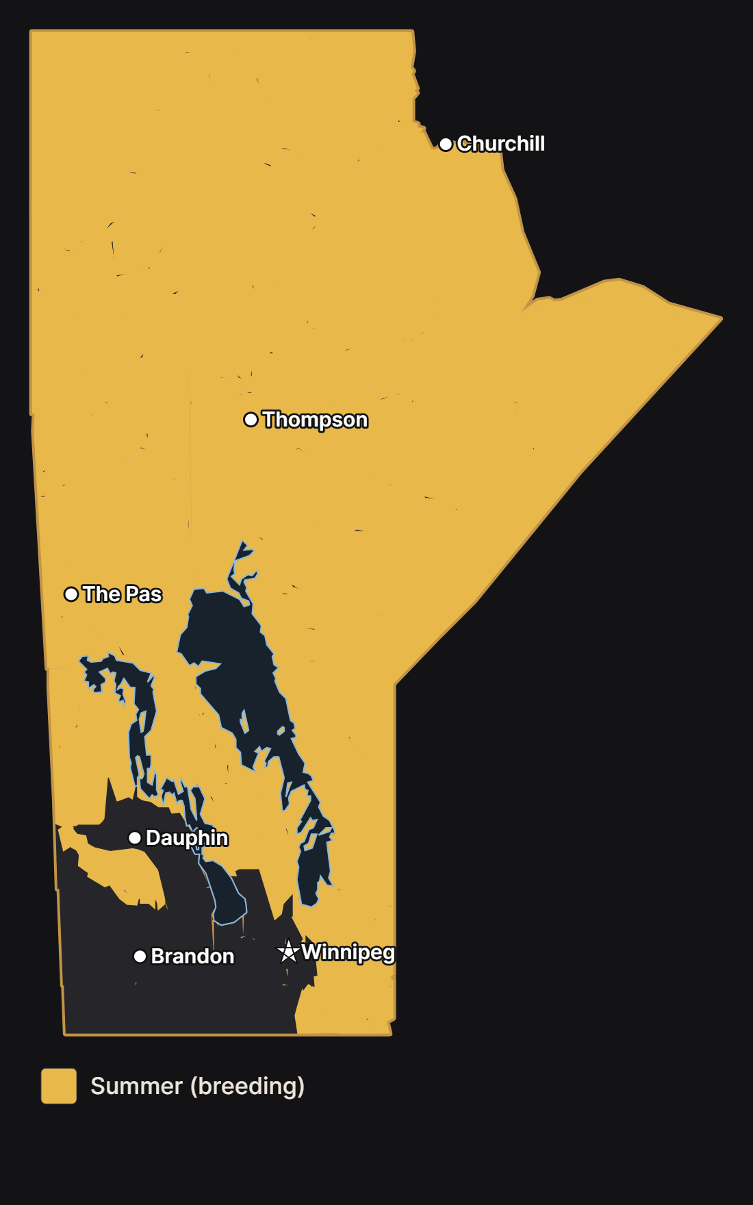 Map of Manitoba showing where the common merganser nests, with major cities and lakes