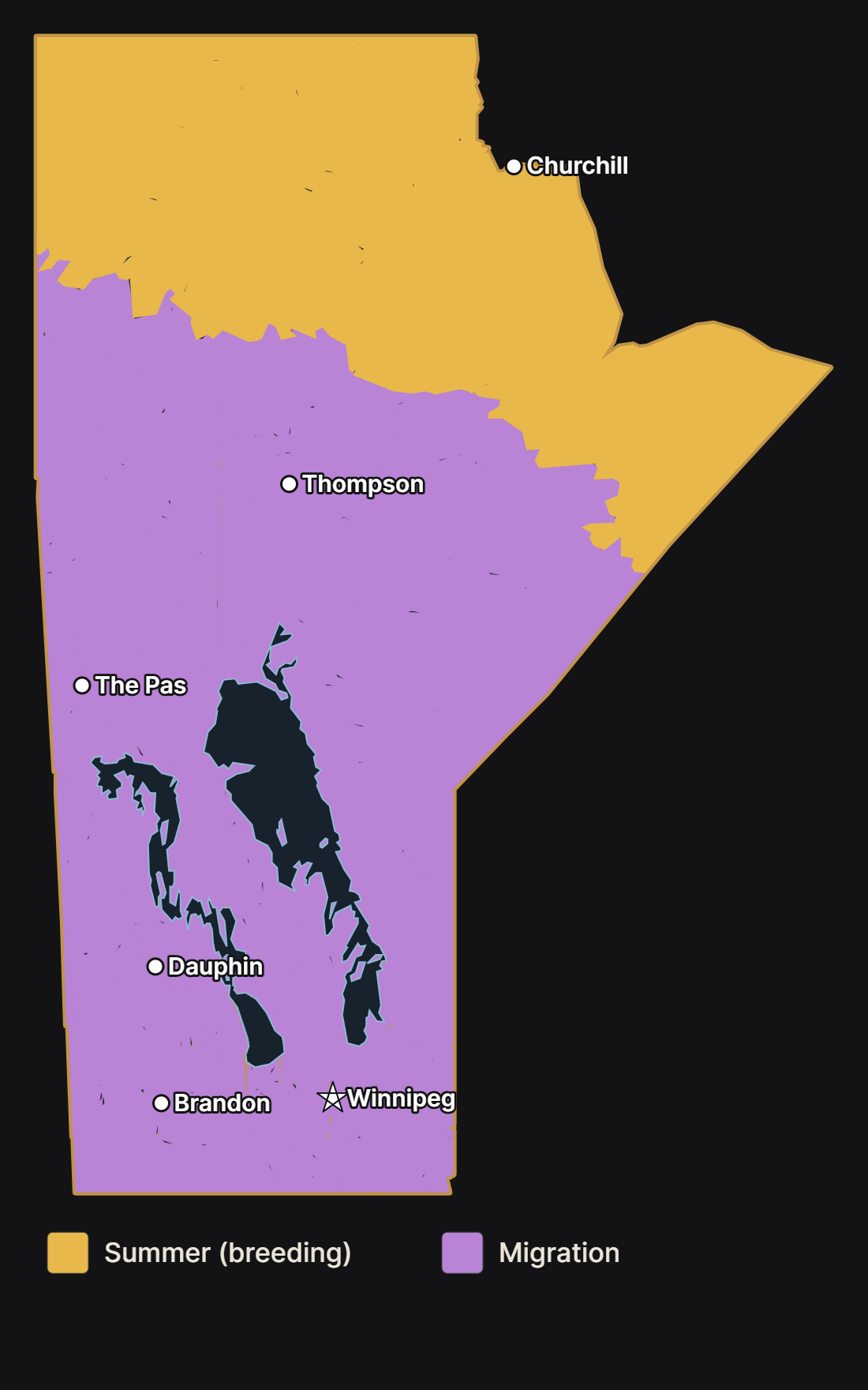 Map of Manitoba showing where the fox sparrow nests and migrates, with major cities and lakes