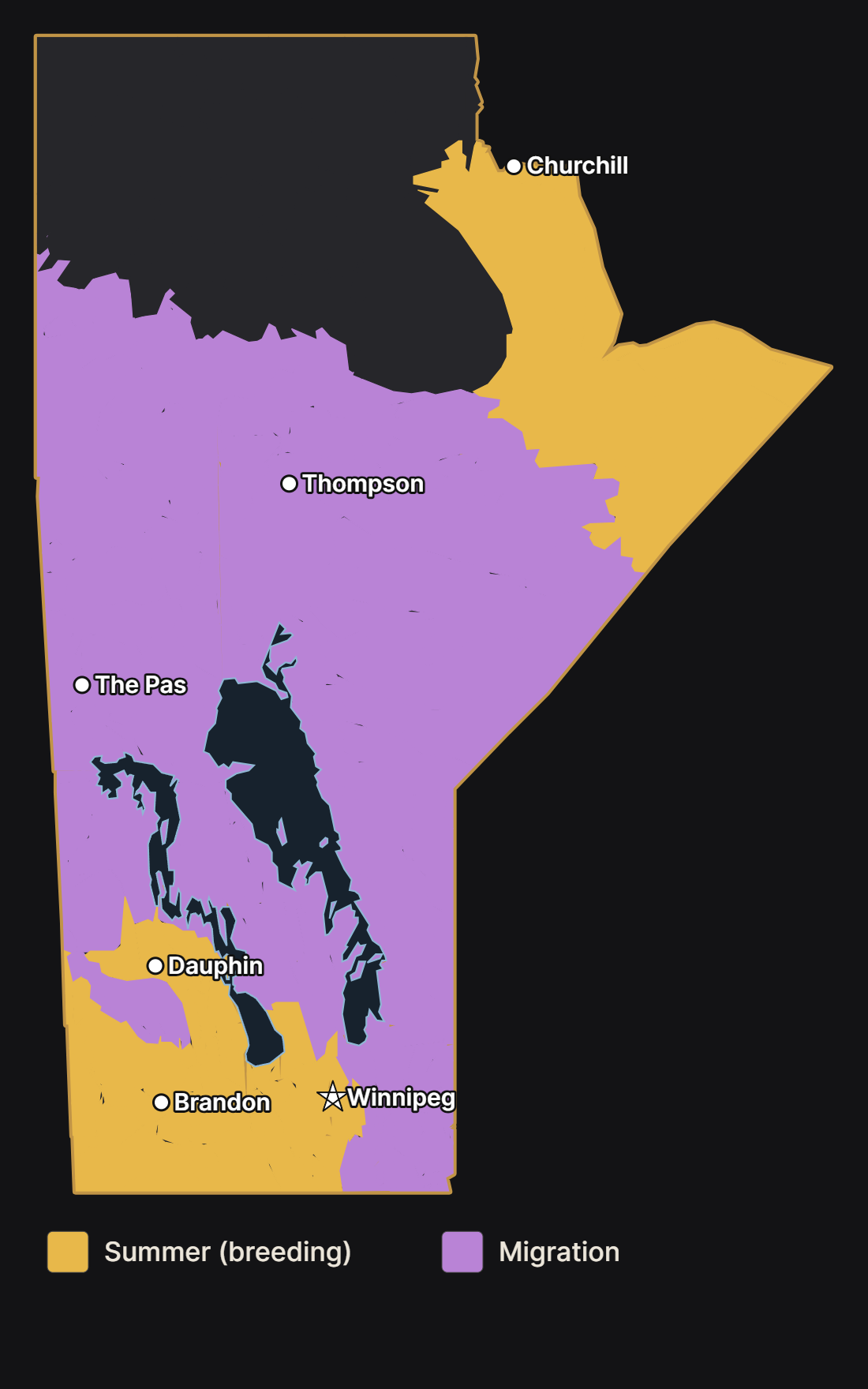 Map of Manitoba showing where the horned grebe nests and migrates, with major cities and lakes