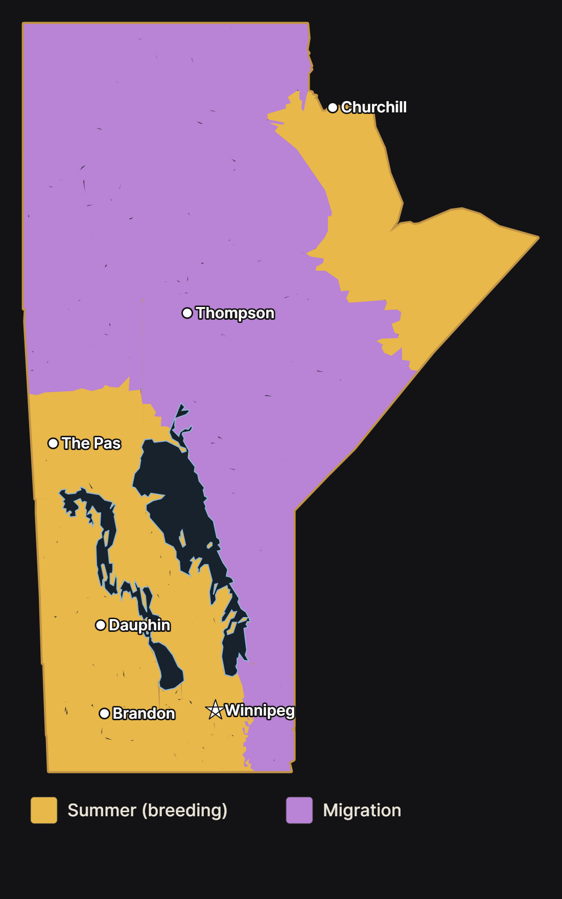 Map of Manitoba showing where the northern pintail nests and migrates, with major cities and lakes