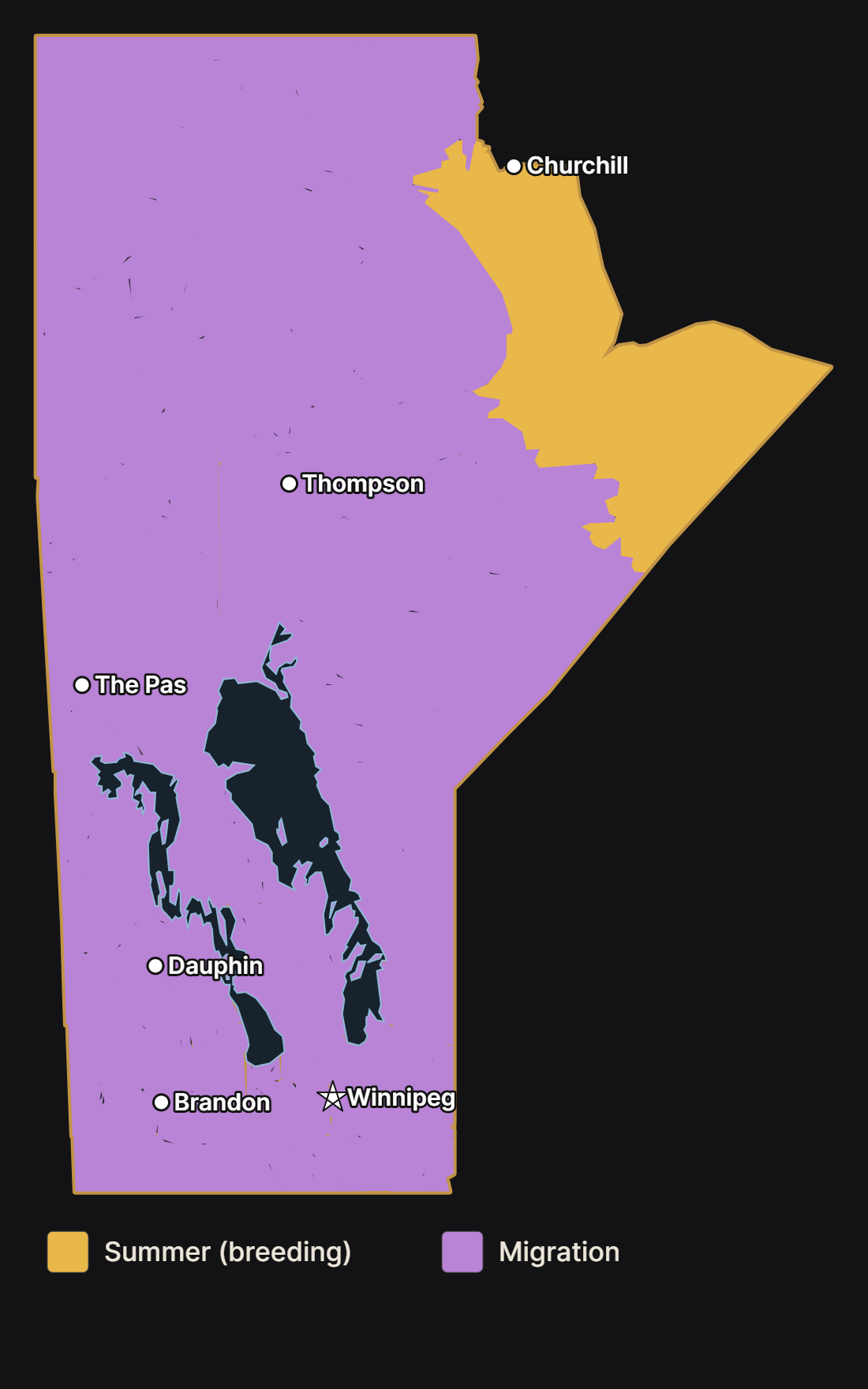 Map of Manitoba showing where the pectoral sandpiper nests and migrates, with major cities and lakes