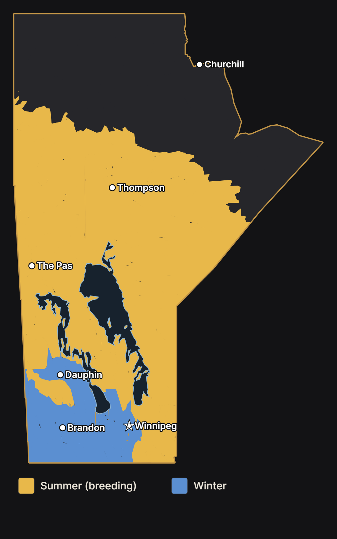 Map of Manitoba showing where the pine siskin nests and spends the winter, with major cities and lakes