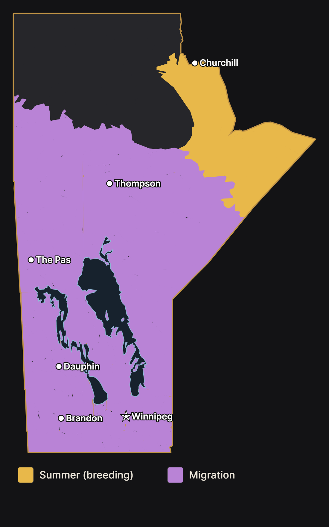 Map of Manitoba showing where the semipalmated plover nests and migrates, with major cities and lakes