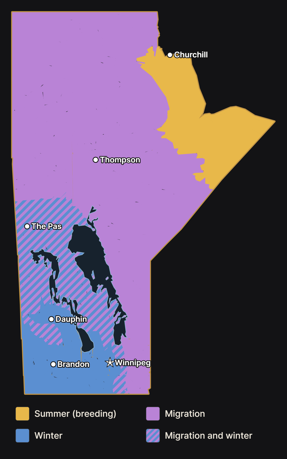Map of Manitoba showing where the snow bunting nests, migrates, and spends the winter, with major cities and lakes