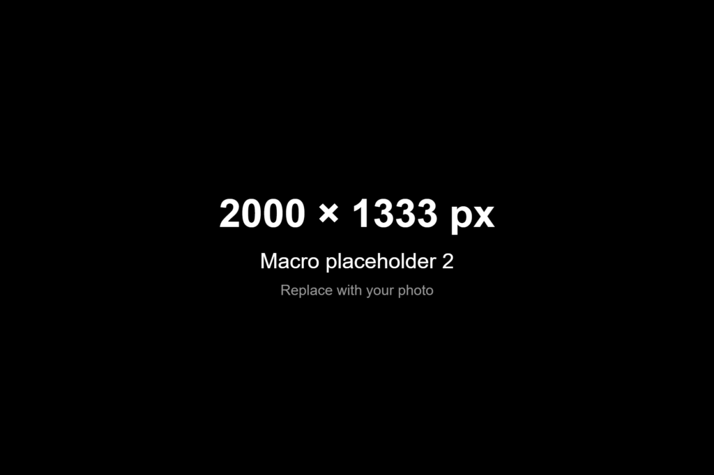Placeholder for Macro photo 2