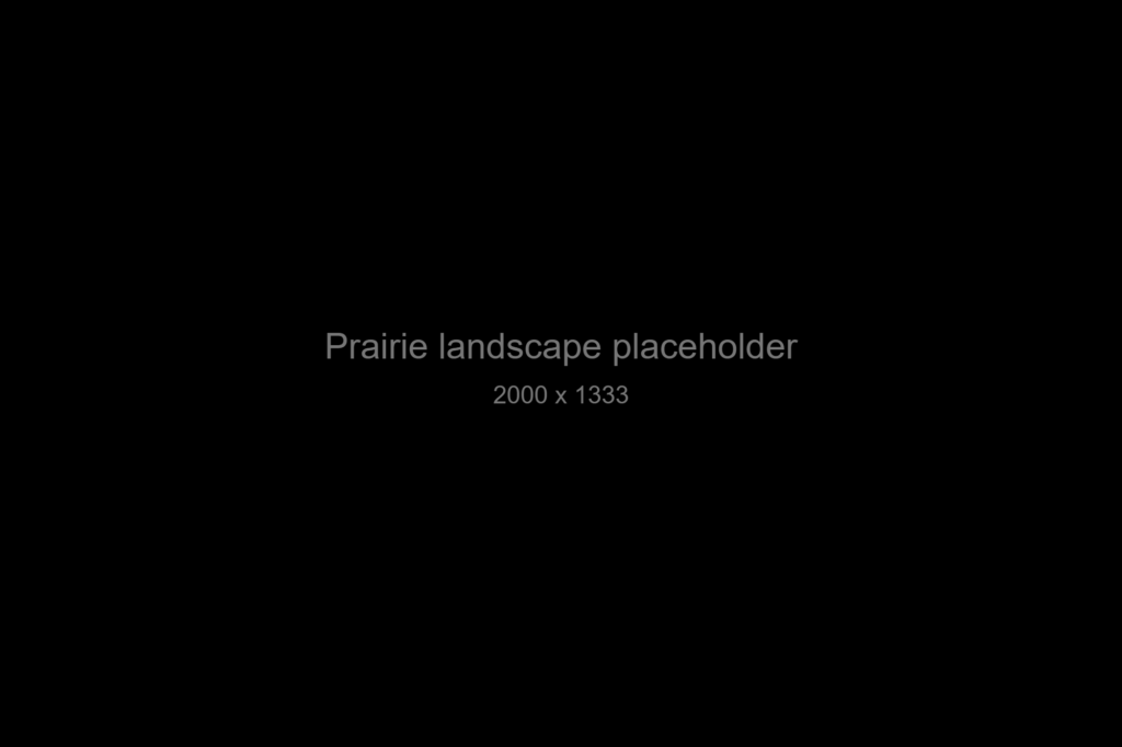 Placeholder for prairie landscape photography 1