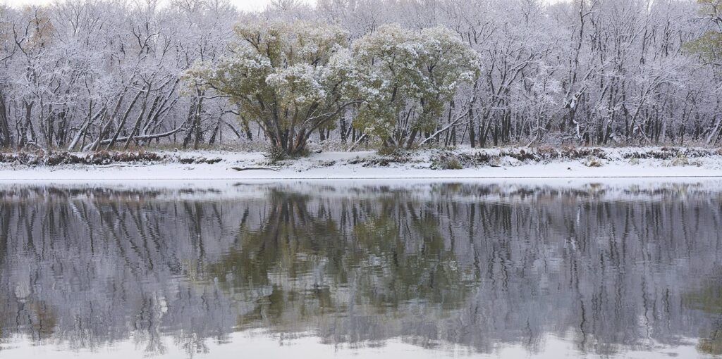 Frosted trees mirrored in open river water after the first snow