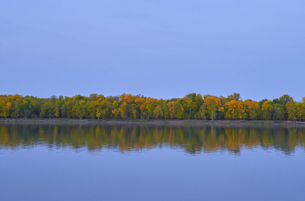 Autumn trees reflected in a calm blue lake at dusk