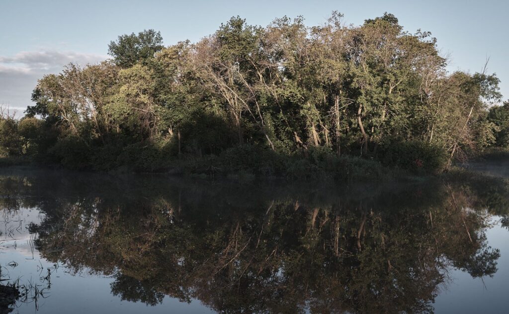 Wooded island reflected in calm water at dawn