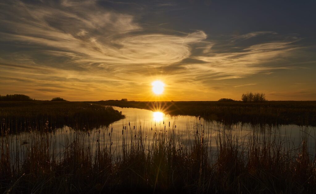 Sun reflected in a marsh channel among cattails at sunset